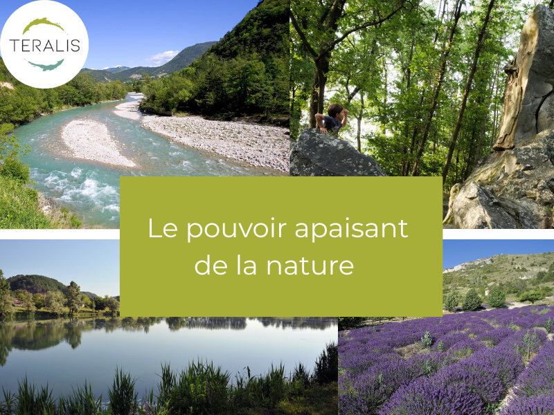 pouvoir apaisant de la nature 