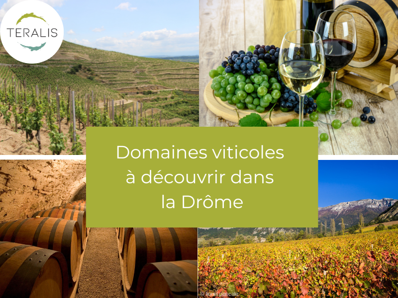 Domaines viticoles à découvrir dans la Drôme Domaines viticoles à découvrir dans la Drôme