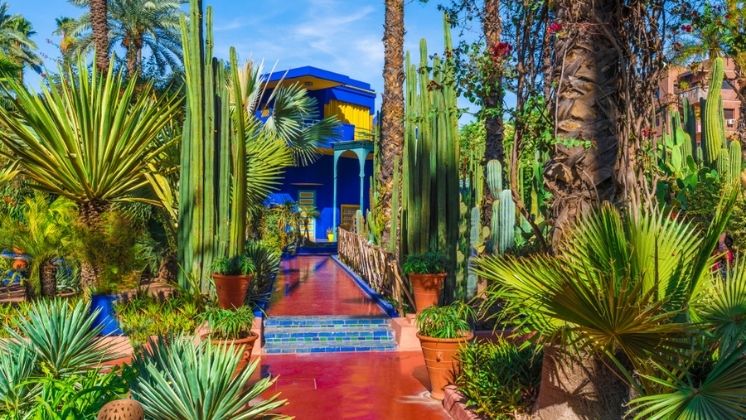 Jarind Majorelle