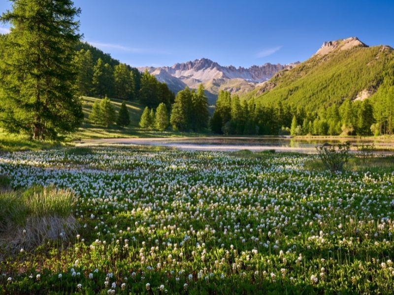 Parc Naturel du Queyras