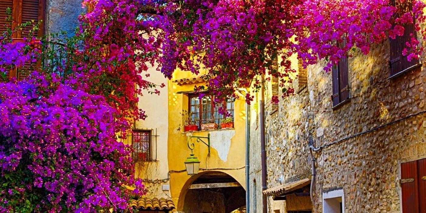 Photo d'une maison prise durant un voyage organisé dans le sud de la France